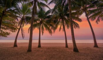 the Caribbean islands